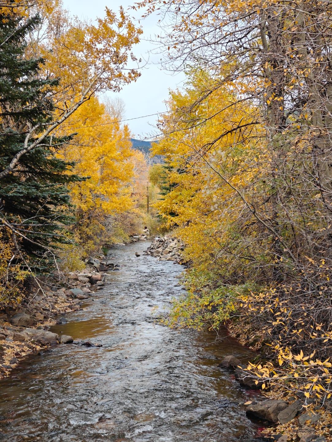 Cover Image Augmented Monday