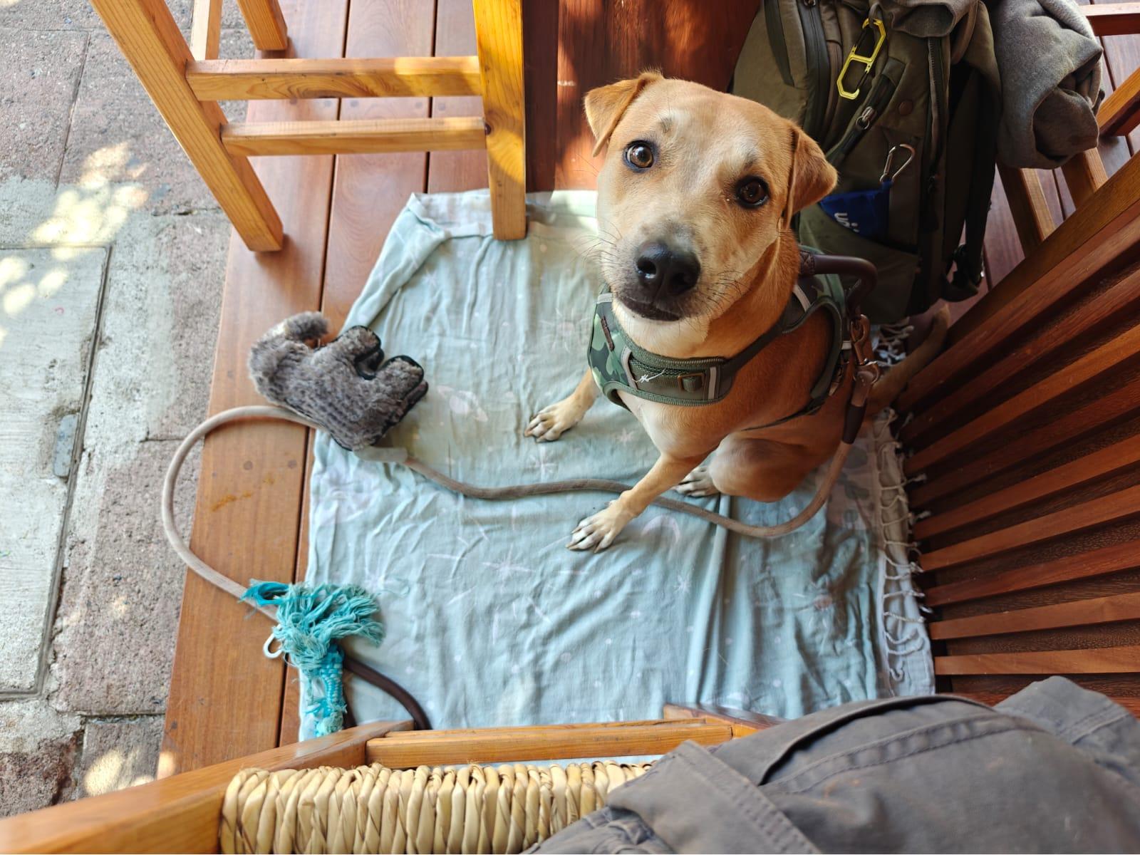 Cover Image Between Ramblings