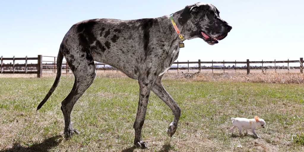 Cover Image Blood, Sweat, and Tears