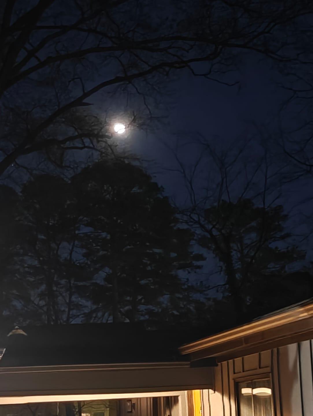 Cover Image Closed Book (Wide Open)