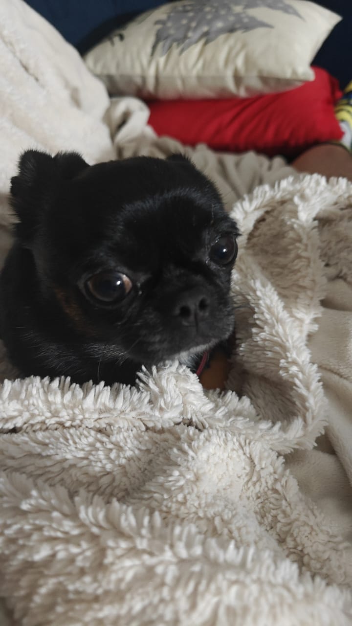 Cover Image Dark Days