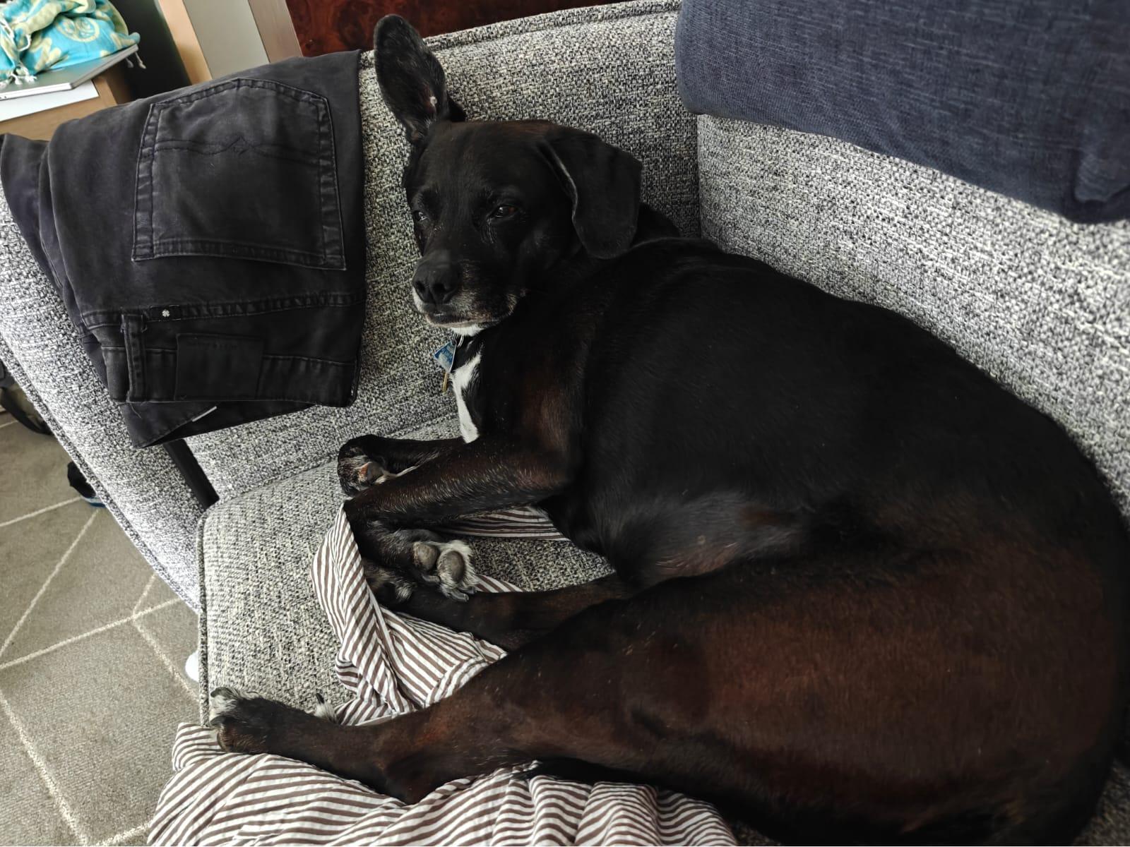 Cover Image Everything's Ready