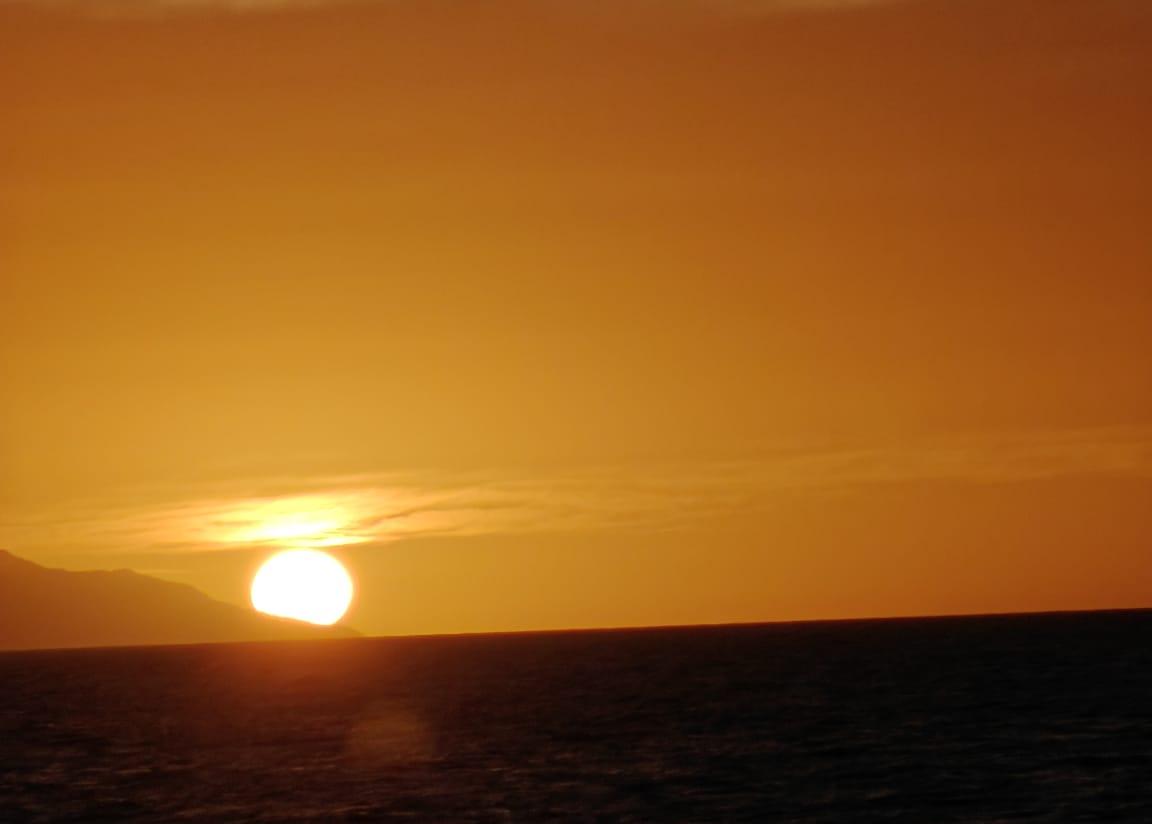 Cover Image Exquisite Night