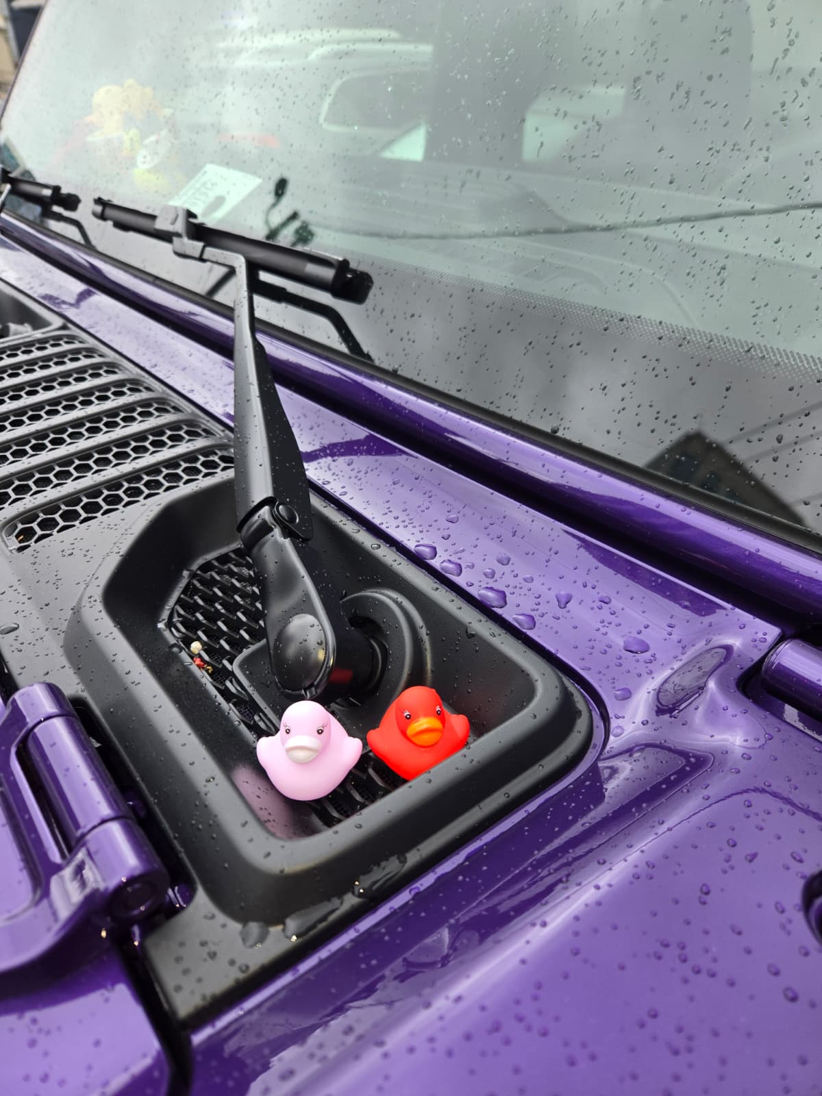 Eyes _on_ Houston’s