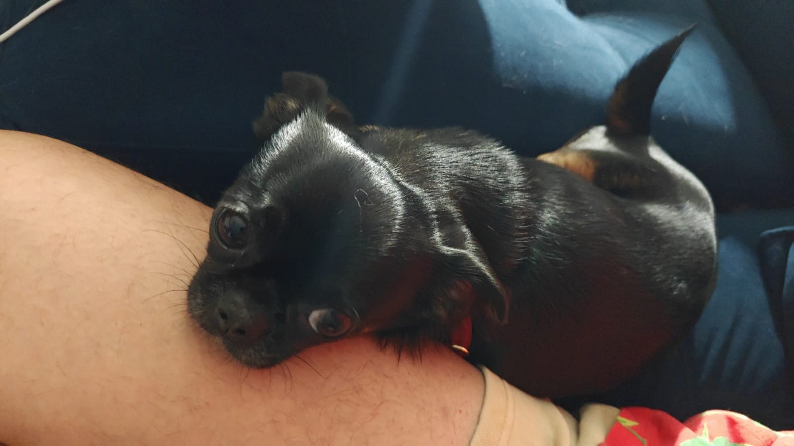 Cover Image Game 3 Kind of Morning