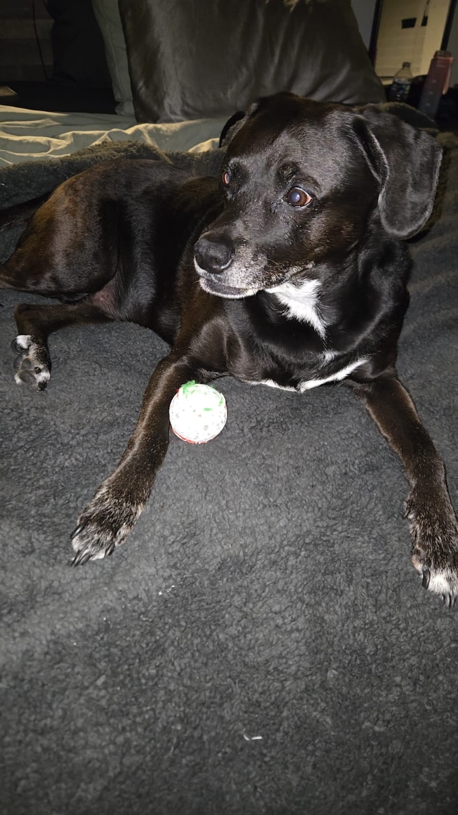 Cover Image He Smells Like You