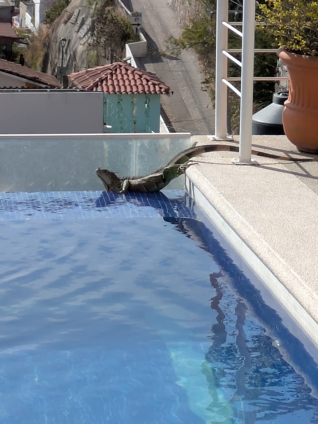 Cover Image Headphones and Hashbrowns