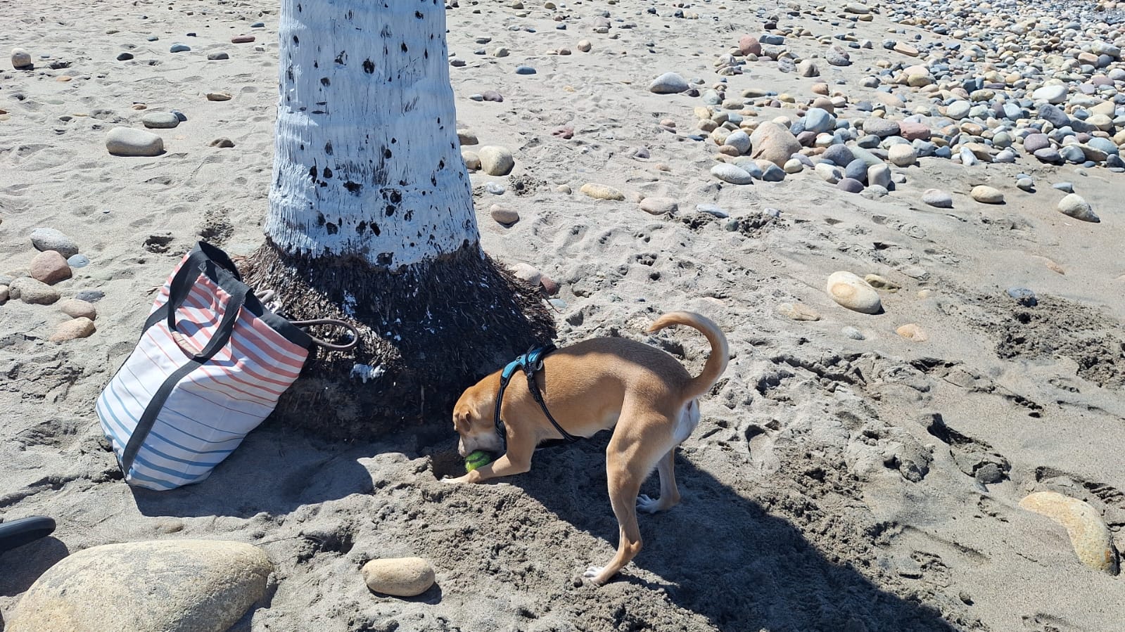 Cover Image I Noticed