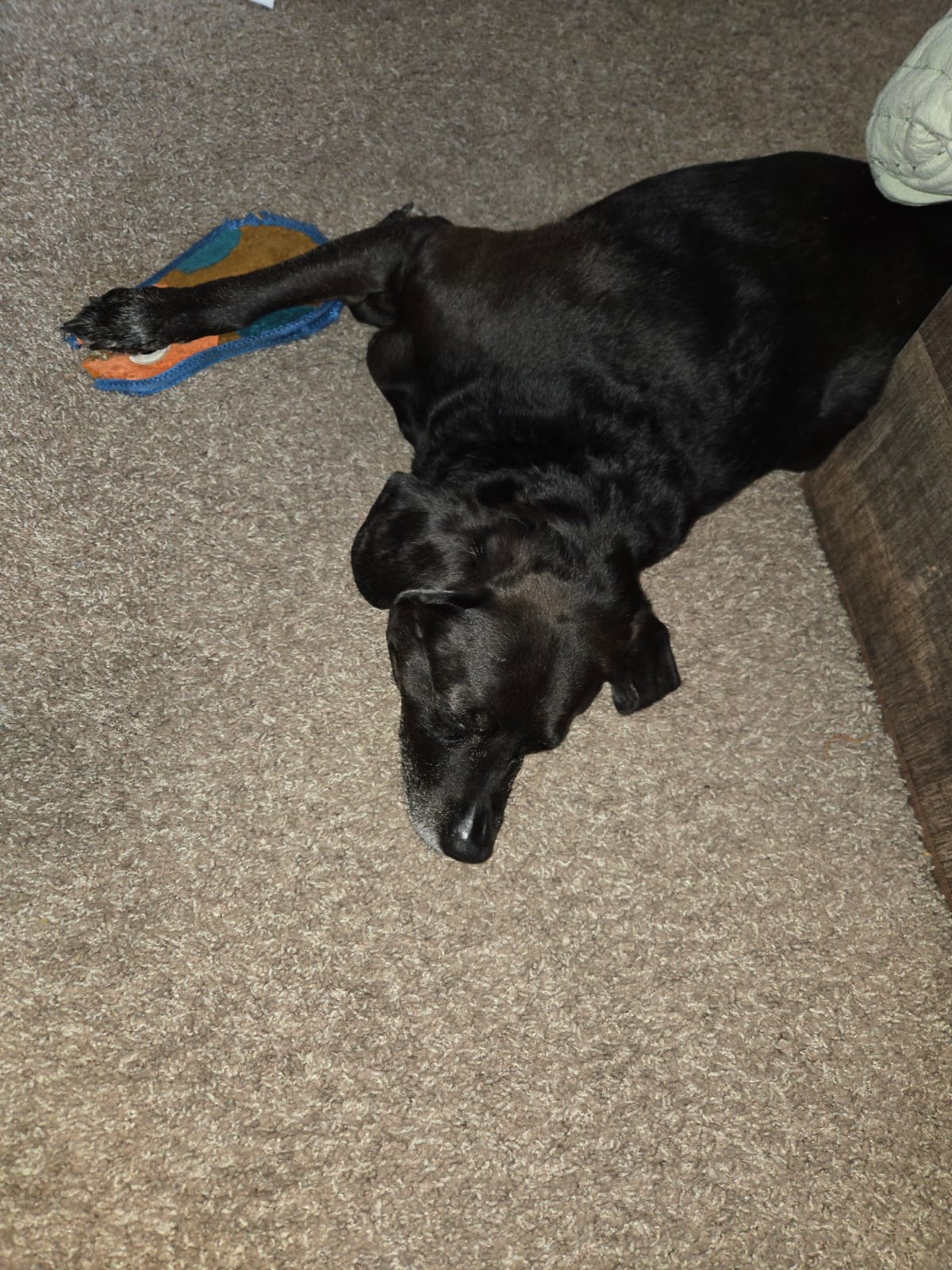 Cover Image Juneteenth or Whatever