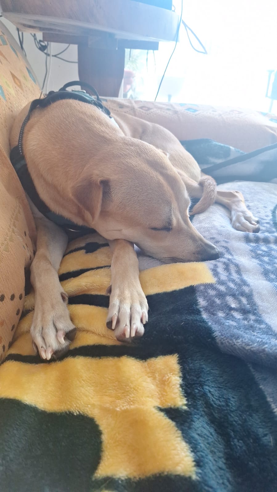 Cover Image Just Out of Reach