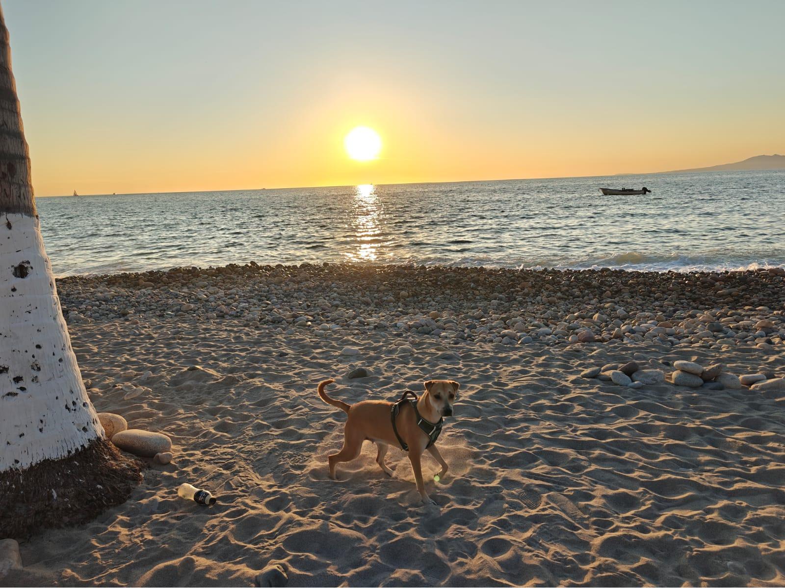 Cover Image Killing (Or Buying) Time