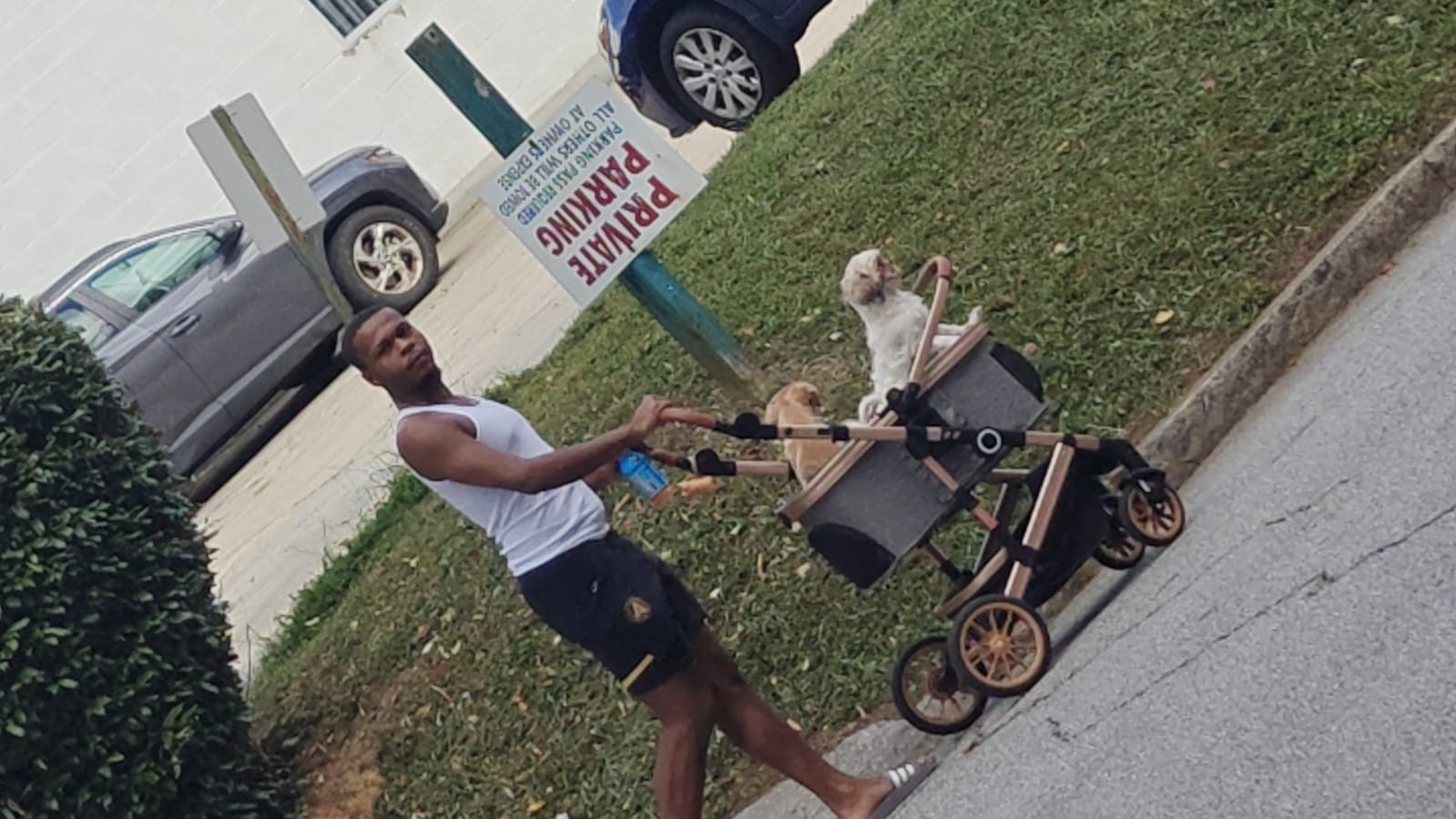 Cover Image La Grotta, La Verità (“the truth”)