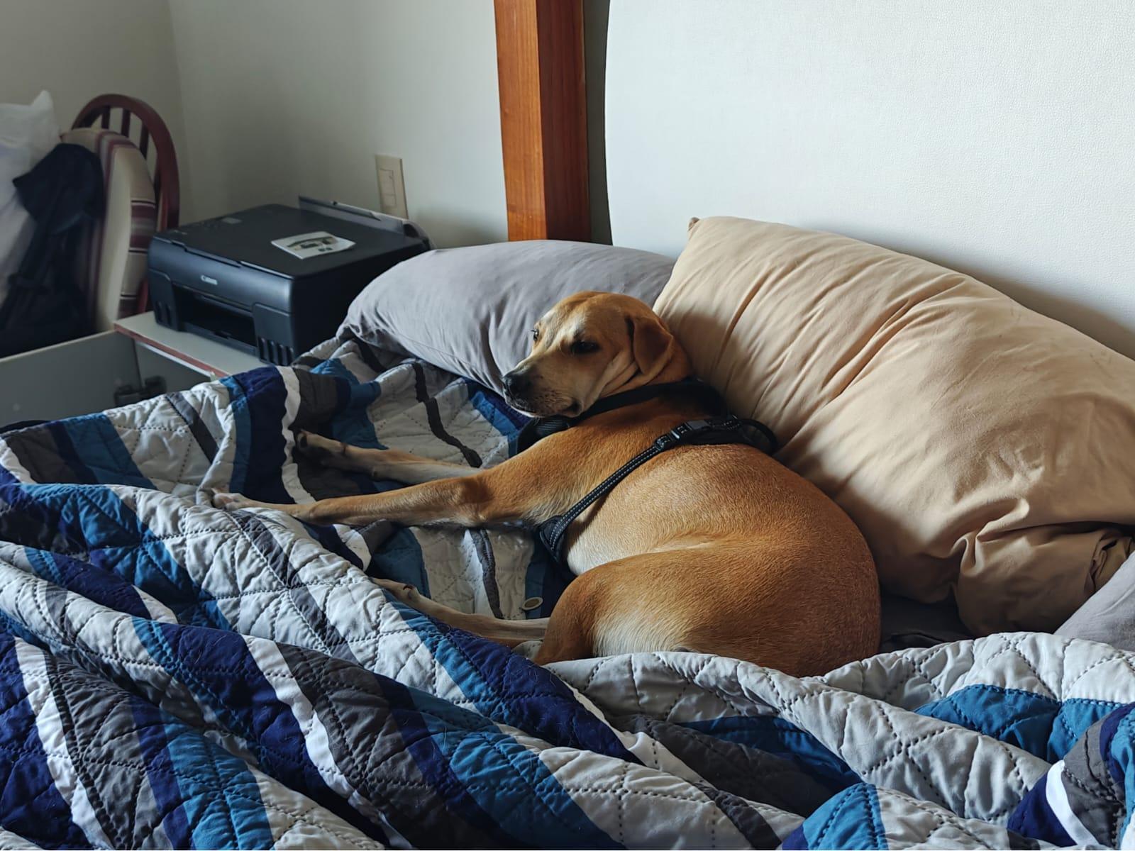 Cover Image Midnight Shift