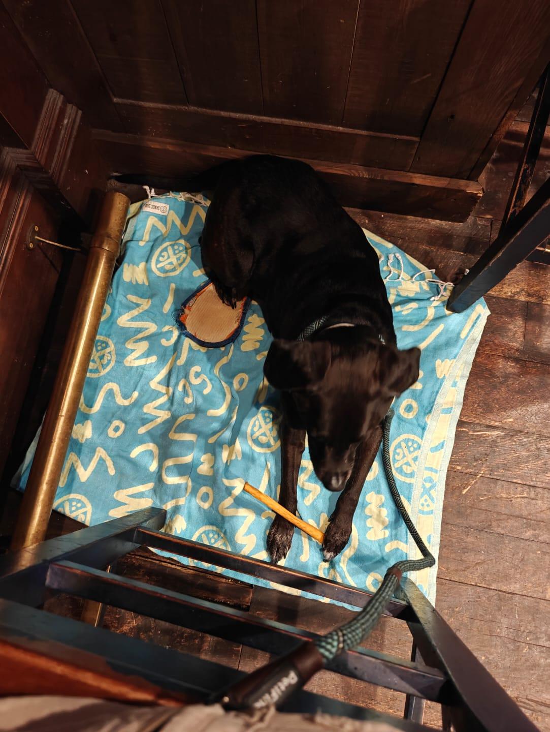 Cover Image Mission Report