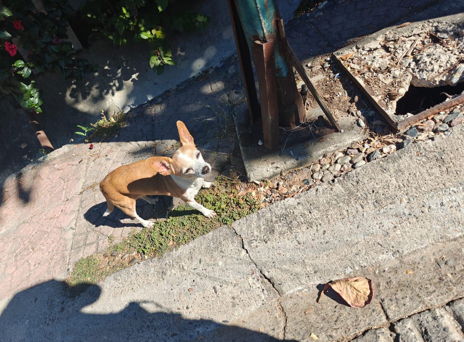 Cover Image The Question