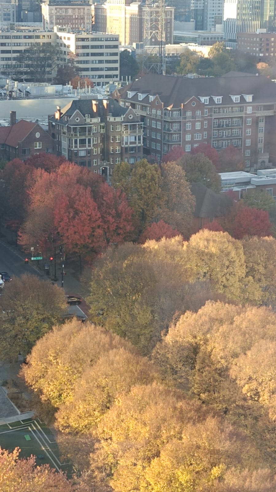 Cover Image Raincheck at Park