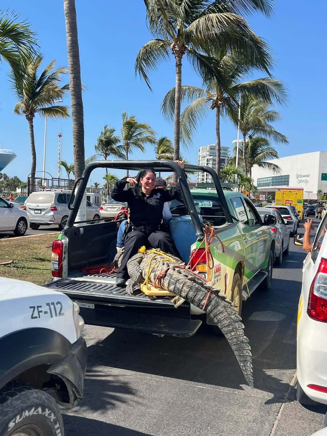 Cover Image Ruthless Layover