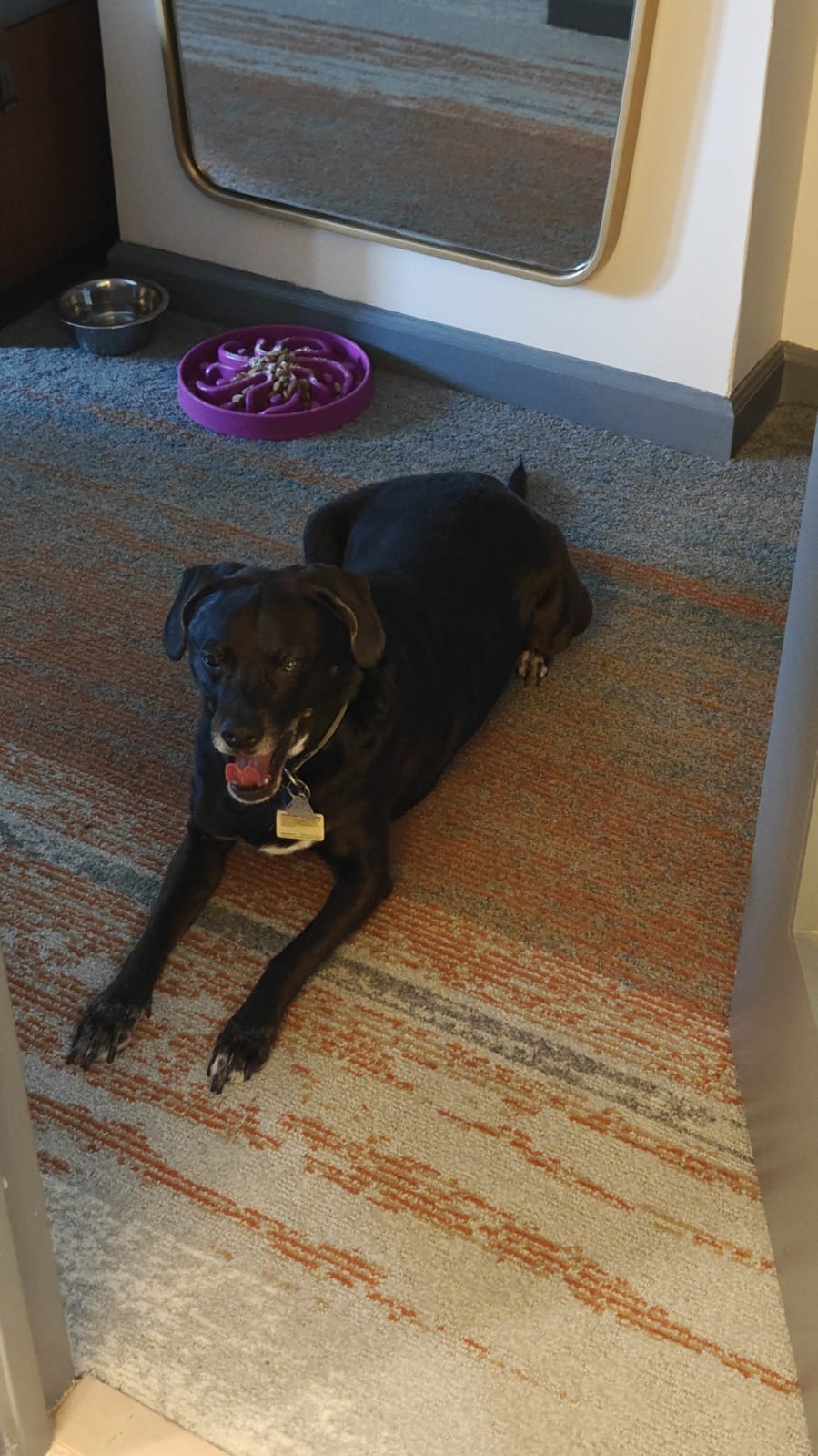 Cover Image Save Me From This Spare