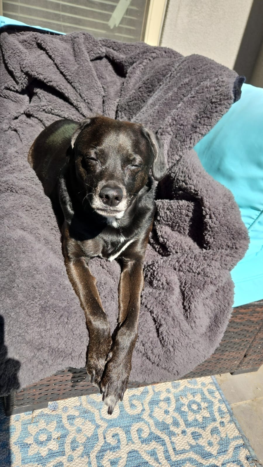 Cover Image Separation Necessity