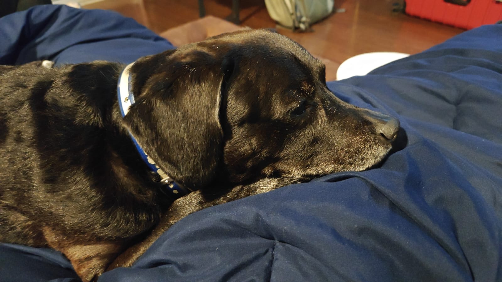 Cover Image Skyhouse Ambush