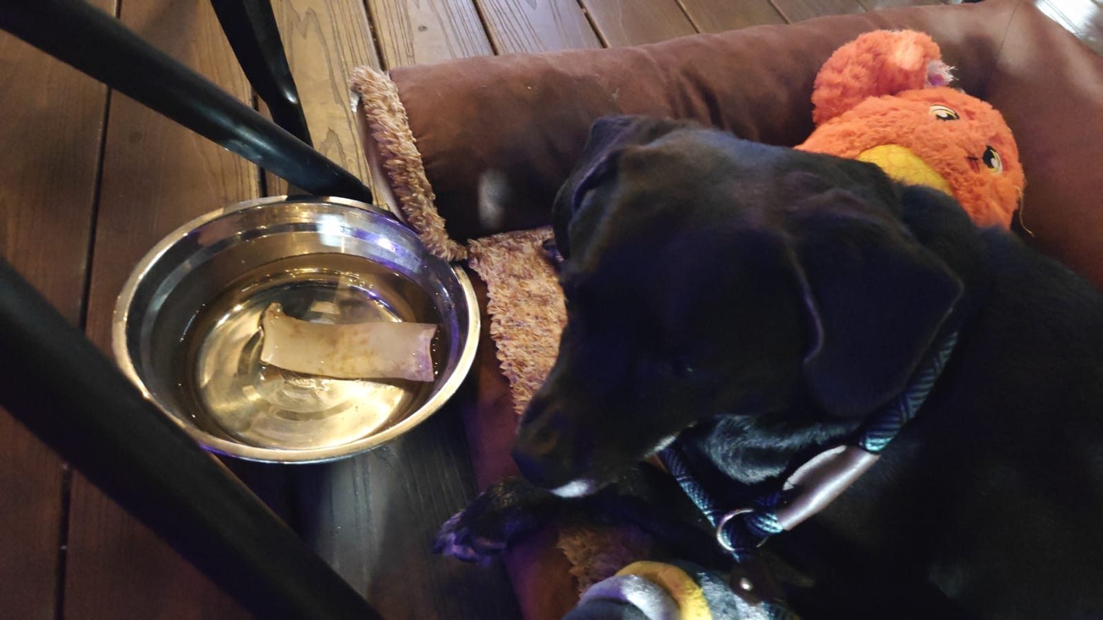 Cover Image Spare Day, Part 2