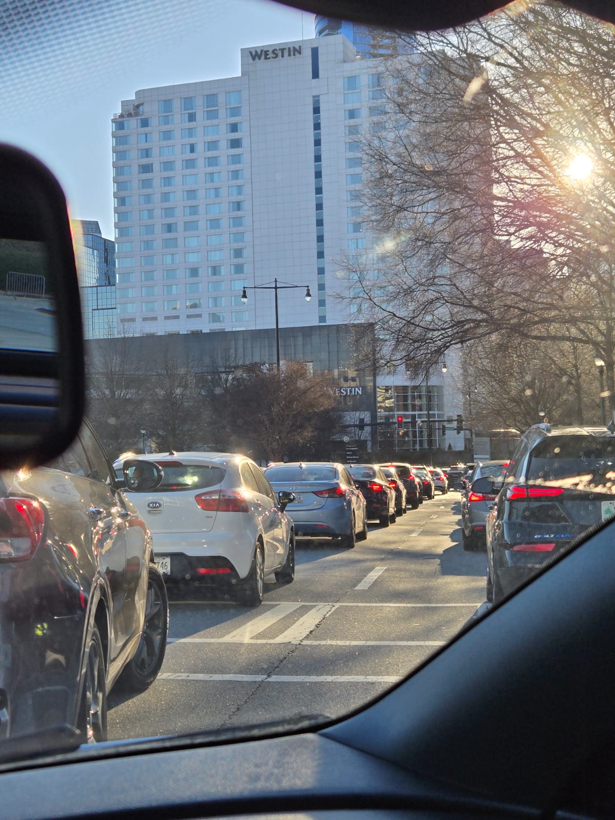 Cover Image Steady Hands