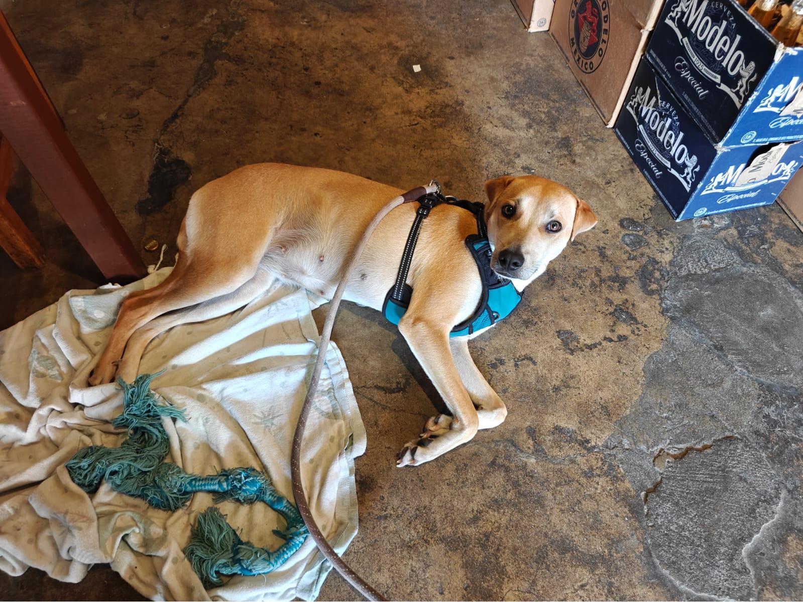 Cover Image Sunday Funday