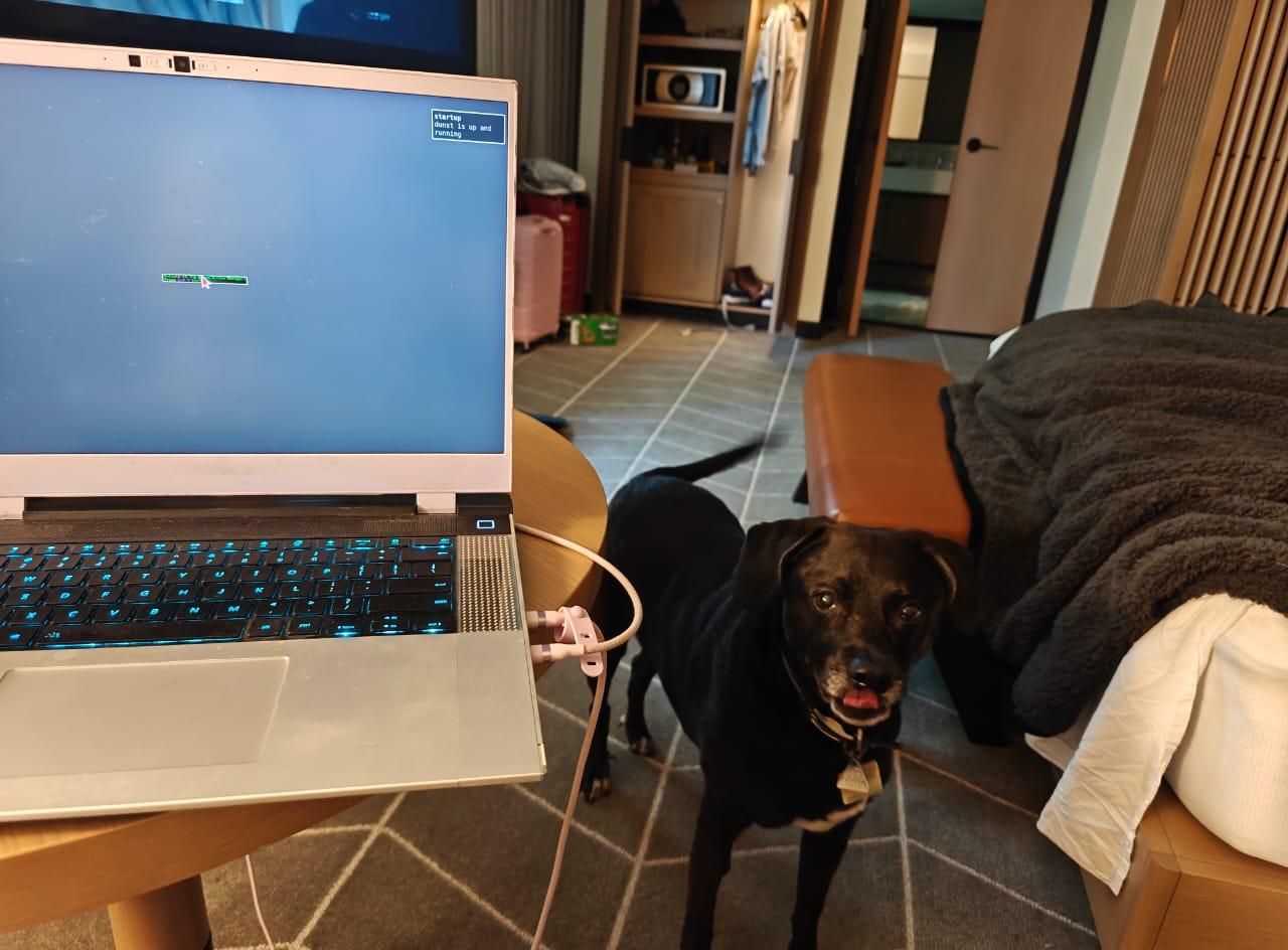 Cover Image The Backup Human