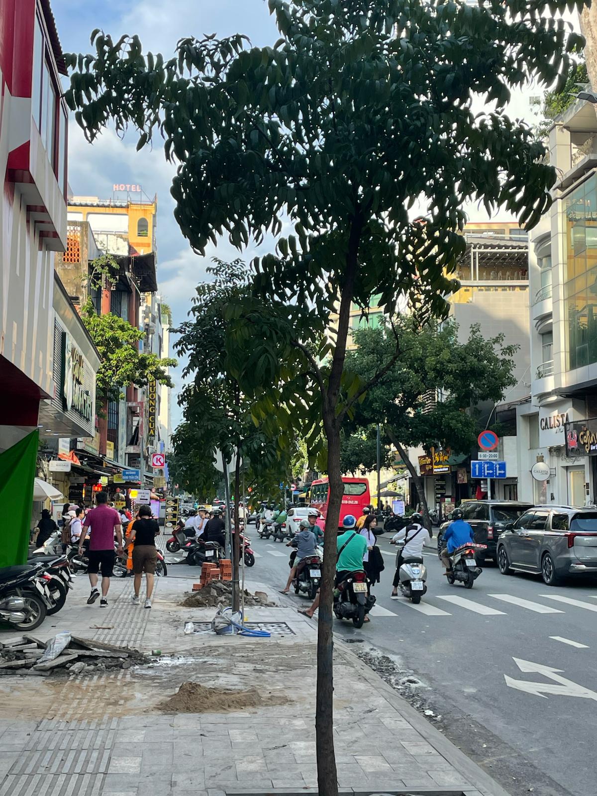 Cover Image The Flight I Didn't Take