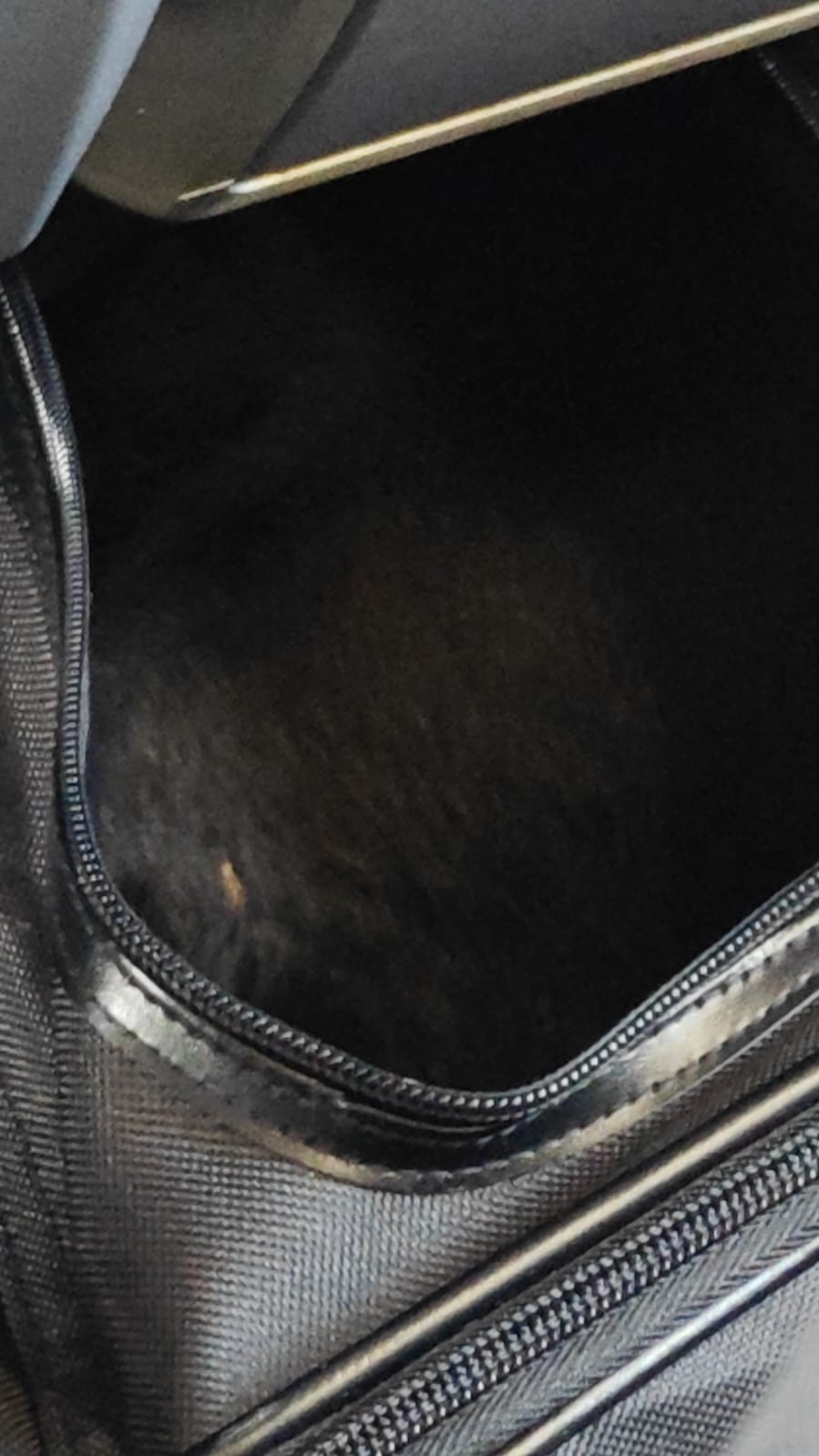 Cover Image The Little Things Are the Thing