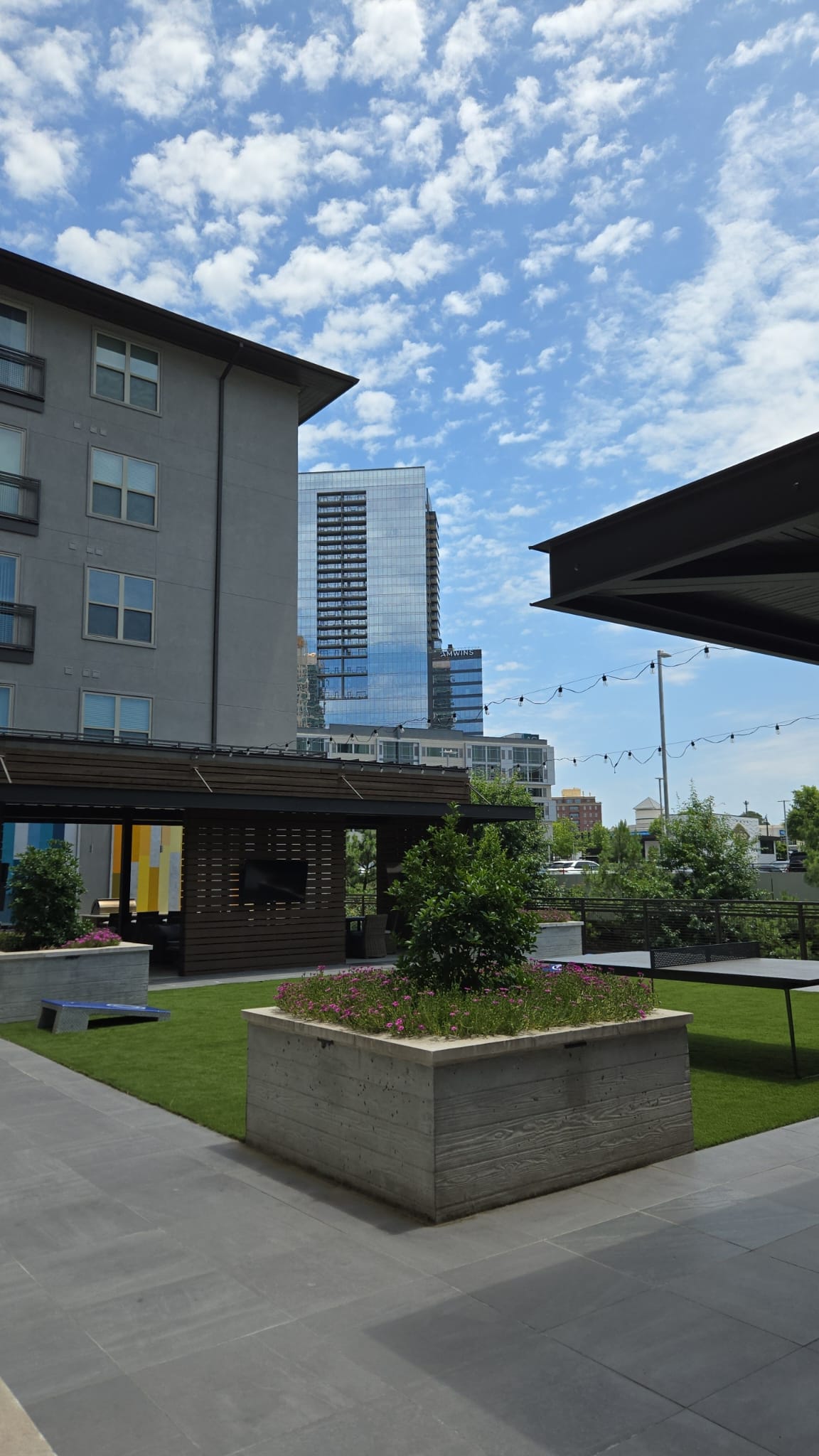 Cover Image The Sleep