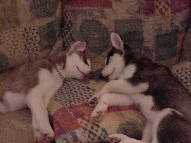 Cover Image Two Calendars