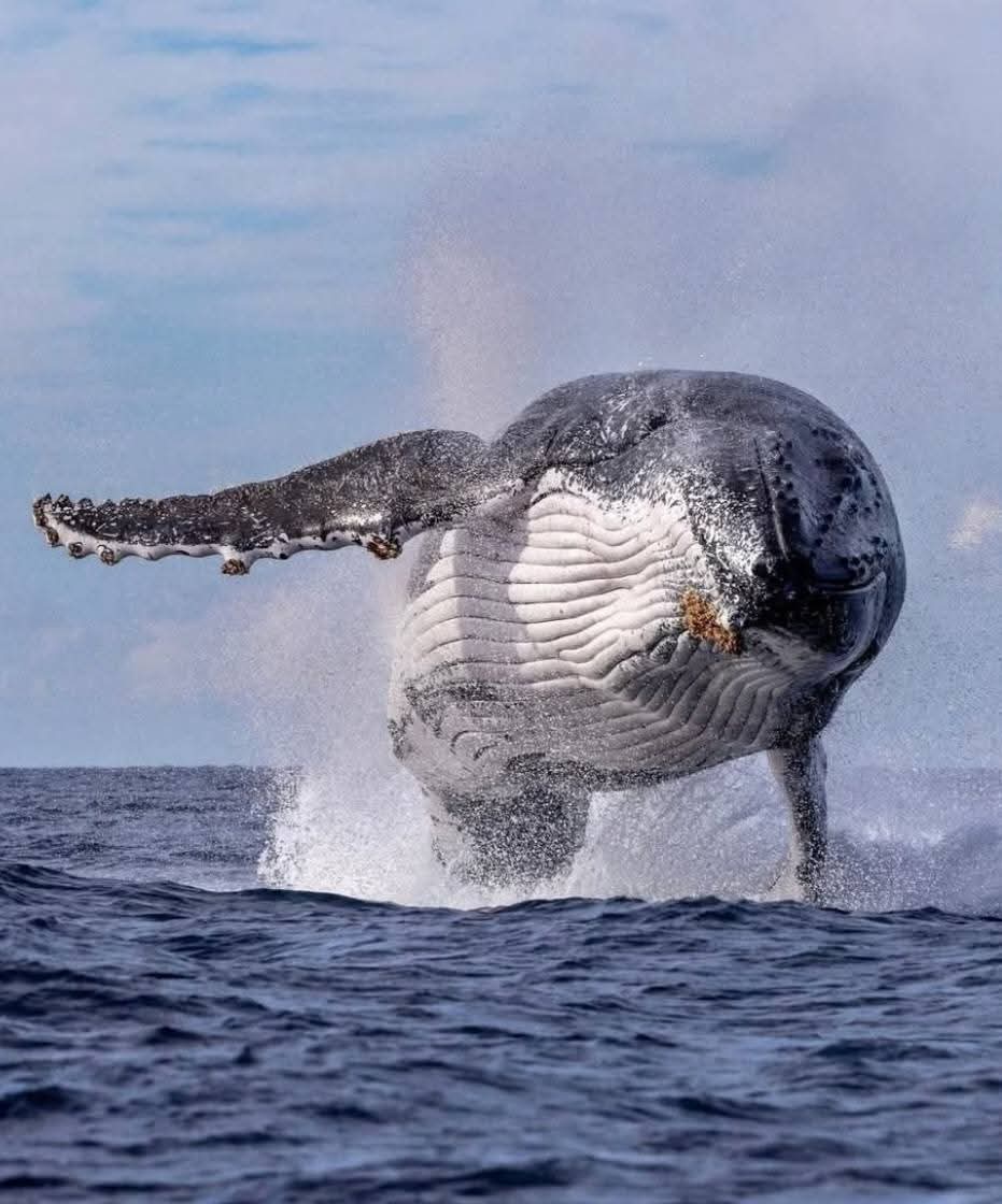 Cover Image Unwritten