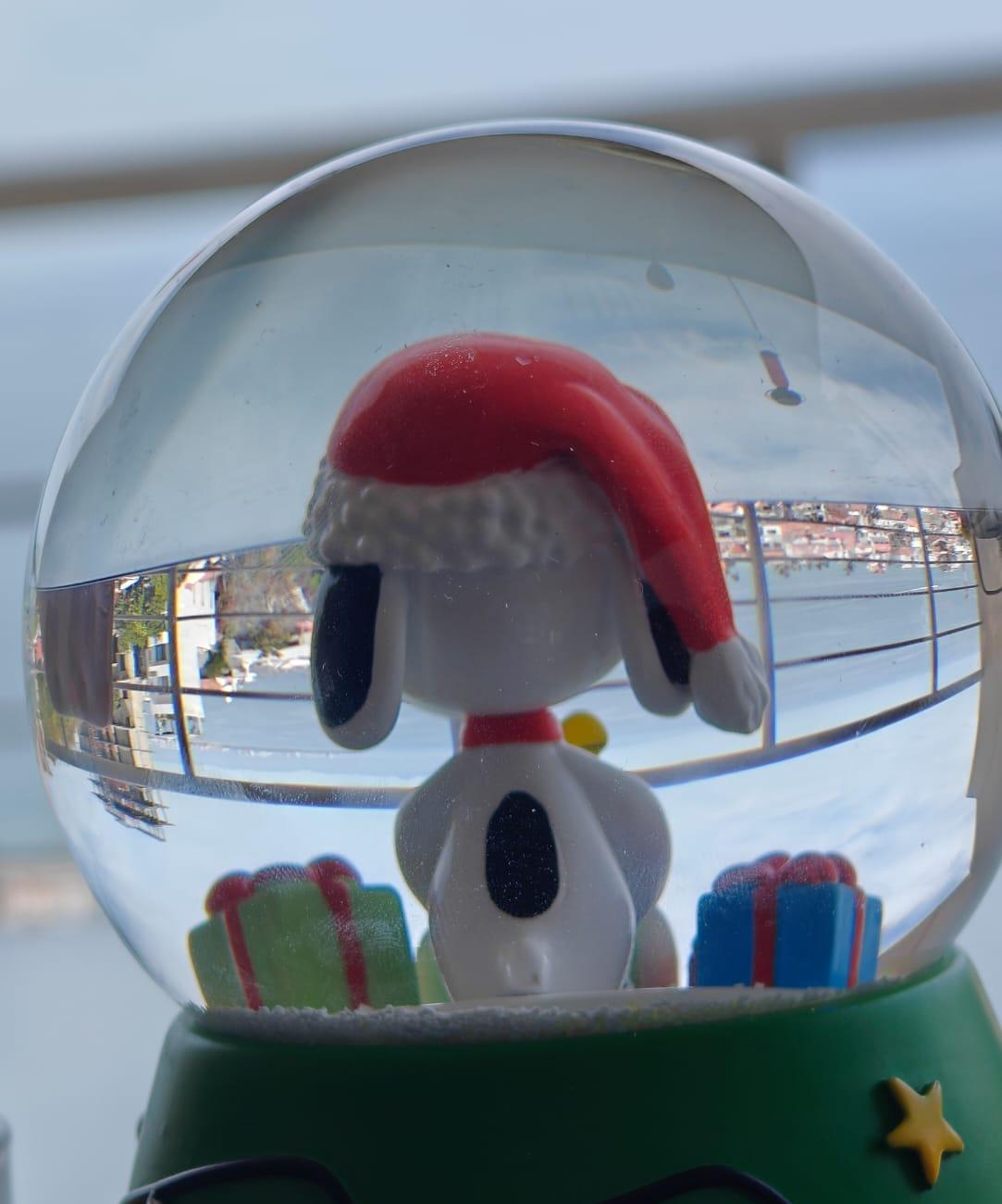 Cover Image Upside Down