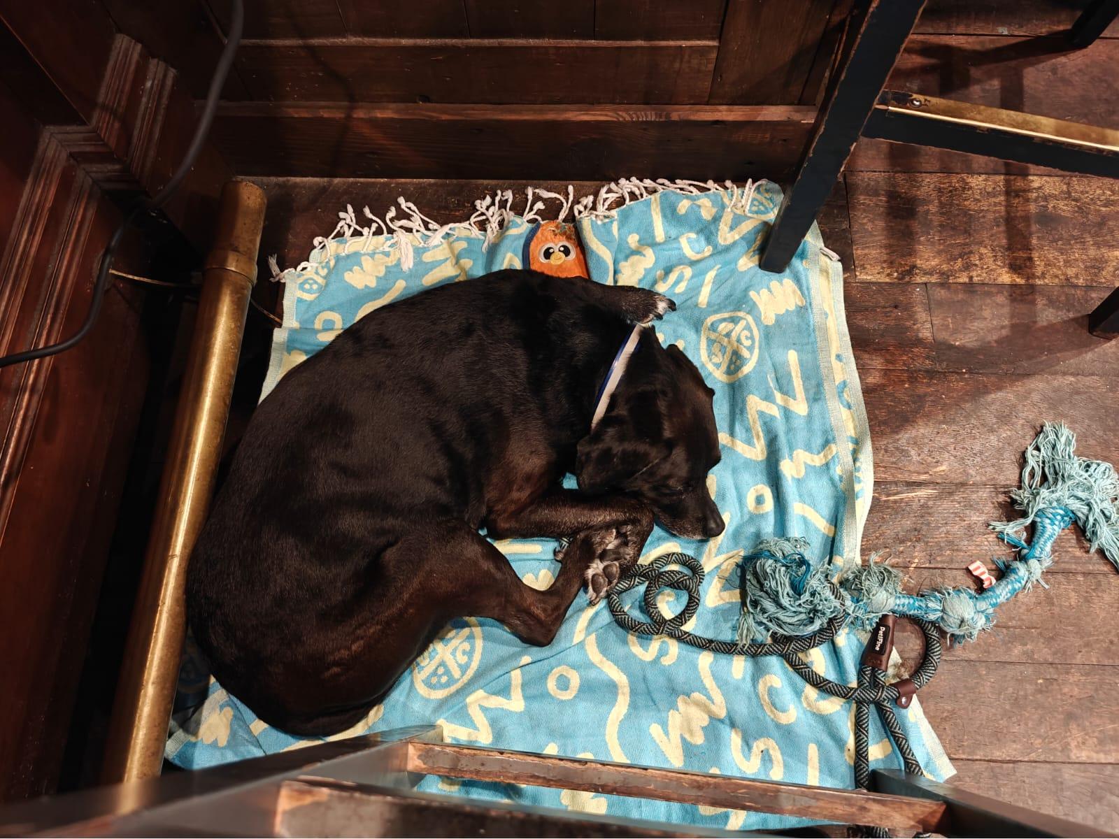 Cover Image Welcome Back